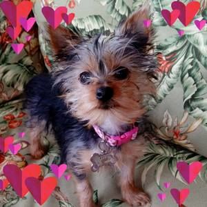 Meet your Posher, Judith